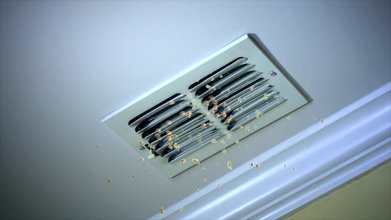 Best Affordable Air Duct Cleaning  in Lacy Lakeview, TX