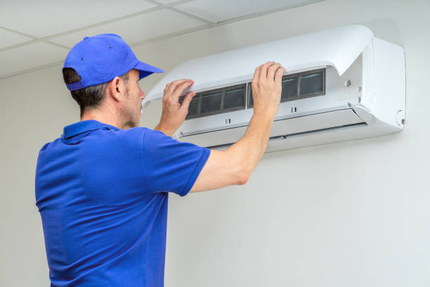 Best Air Duct Mold Removal  in Lacy Lakeview, TX