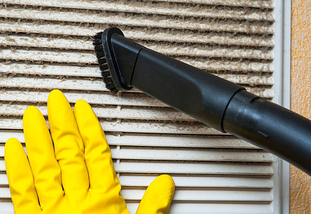Best Local Air Duct Cleaning Services  in Lacy Lakeview, TX